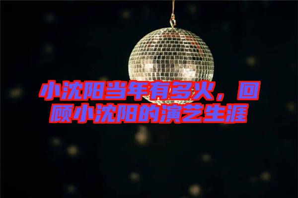 小沈陽當年有多火，回顧小沈陽的演藝生涯