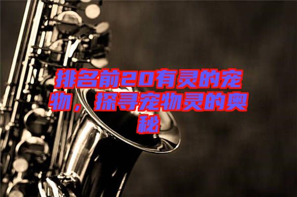 排名前20有靈的寵物，探尋寵物靈的奧秘