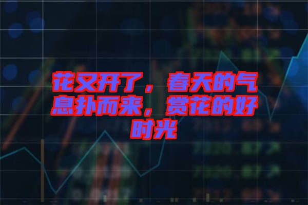 花又開了，春天的氣息撲而來，賞花的好時(shí)光