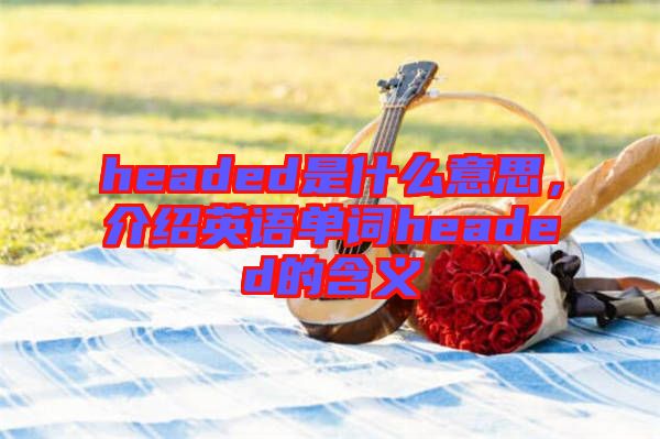 headed是什么意思，介紹英語單詞headed的含義