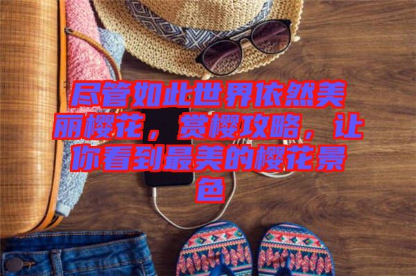 盡管如此世界依然美麗櫻花，賞櫻攻略，讓你看到最美的櫻花景色