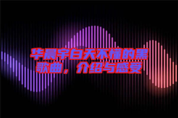 華晨宇白天不懂的黑歌曲，介紹與感受