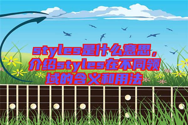 styles是什么意思，介紹styles在不同領(lǐng)域的含義和用法