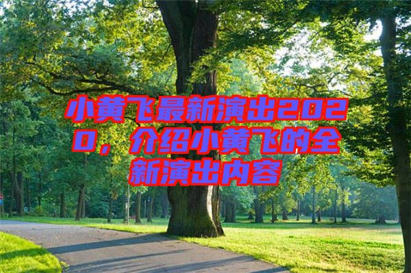 小黃飛最新演出2020，介紹小黃飛的全新演出內(nèi)容