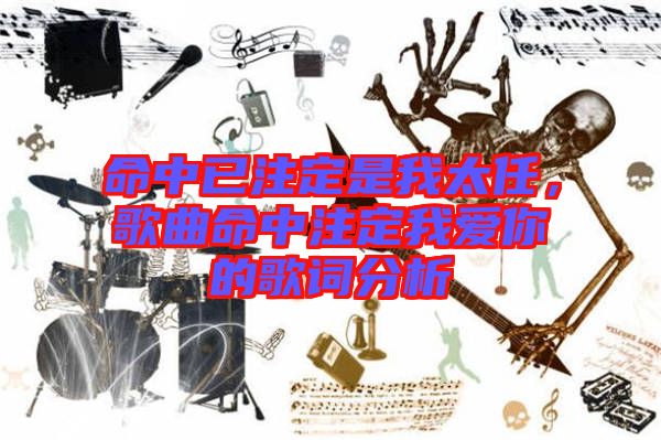 命中已注定是我太任，歌曲命中注定我愛你的歌詞分析