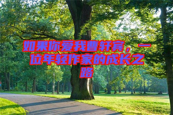如果你愛我曹軒賓，一位年輕作家的成長之路