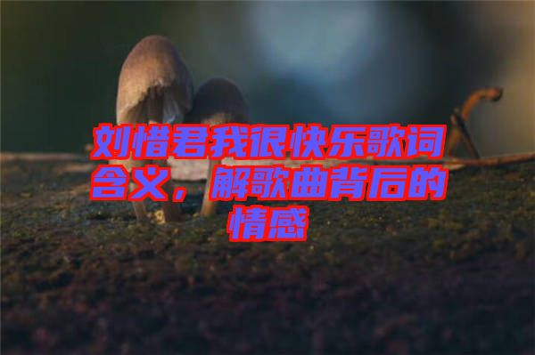 劉惜君我很快樂(lè)歌詞含義，解歌曲背后的情感