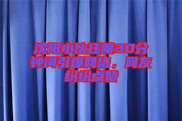 沈陽(yáng)小伙狂噴30分鐘詞引爆網(wǎng)絡(luò)，網(wǎng)友紛紛點(diǎn)贊