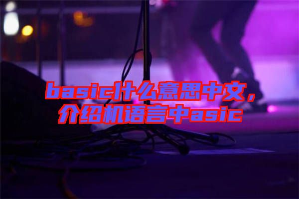 basic什么意思中文，介紹機(jī)語言中asic
