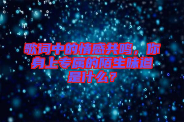 歌詞中的情感共鳴，你身上專屬的陌生味道是什么？