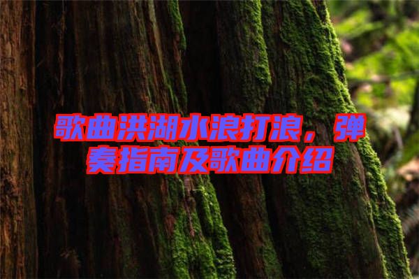 歌曲洪湖水浪打浪，彈奏指南及歌曲介紹