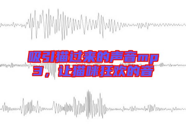 吸引貓過(guò)來(lái)的聲音mp3，讓貓咪狂歡的音