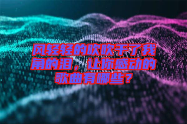 風(fēng)輕輕的吹吹干了我角的淚，讓你感動(dòng)的歌曲有哪些？