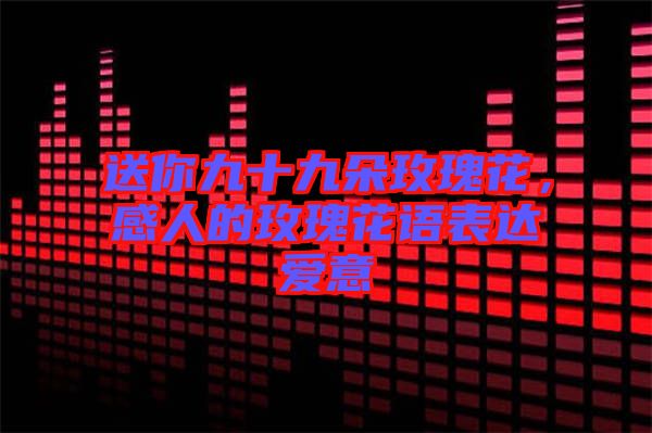 送你九十九朵玫瑰花，感人的玫瑰花語表達愛意