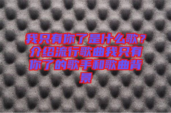 我只有你了是什么歌？介紹流行歌曲我只有你了的歌手和歌曲背景