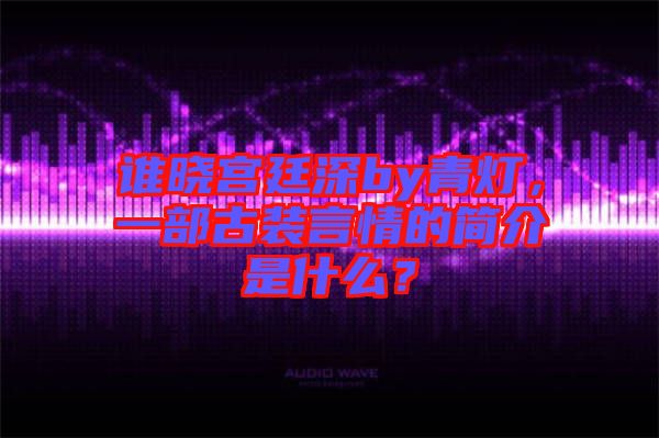 誰曉宮廷深by青燈，一部古裝言情的簡介是什么？