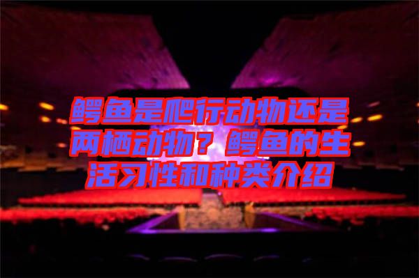 鱷魚(yú)是爬行動(dòng)物還是兩棲動(dòng)物？鱷魚(yú)的生活習(xí)性和種類介紹