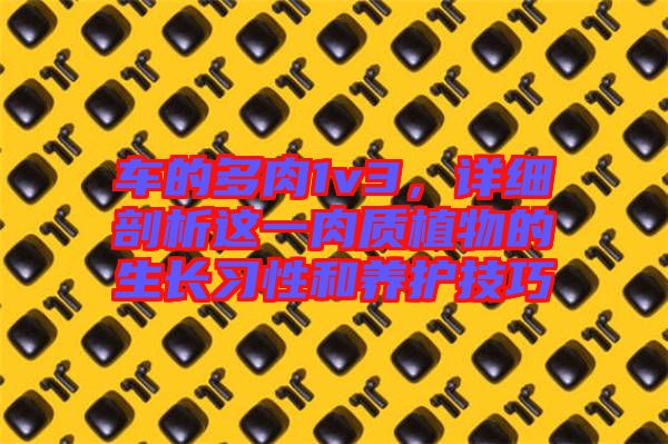 車的多肉1v3，詳細(xì)剖析這一肉質(zhì)植物的生長(zhǎng)習(xí)性和養(yǎng)護(hù)技巧