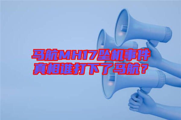 馬航MH17墜機(jī)事件真相誰打下了馬航？