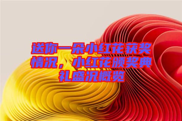 送你一朵小紅花獲獎情況，小紅花頒獎典禮盛況概覽