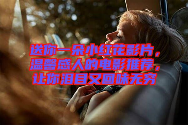 送你一朵小紅花影片，溫馨感人的電影推薦，讓你淚目又回味無窮