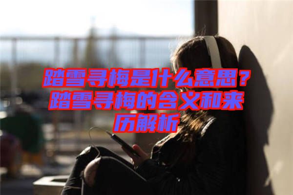 踏雪尋梅是什么意思？踏雪尋梅的含義和來(lái)歷解析