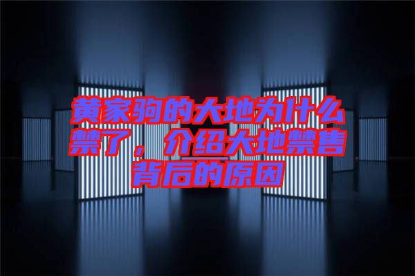黃家駒的大地為什么禁了，介紹大地禁售背后的原因
