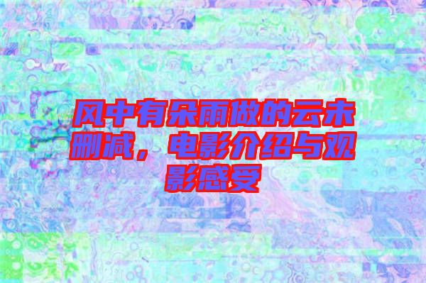 風(fēng)中有朵雨做的云未刪減，電影介紹與觀影感受