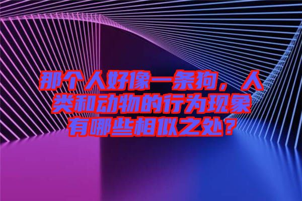 那個(gè)人好像一條狗，人類和動物的行為現(xiàn)象有哪些相似之處？