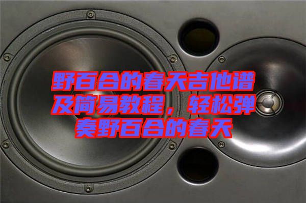 野百合的春天吉他譜及簡(jiǎn)易教程，輕松彈奏野百合的春天