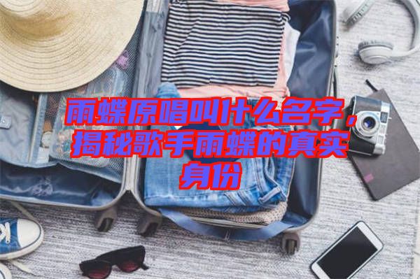雨蝶原唱叫什么名字，揭秘歌手雨蝶的真實身份