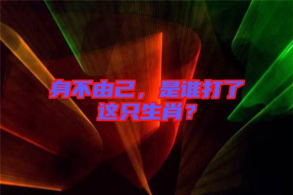 身不由己，是誰打了這只生肖？