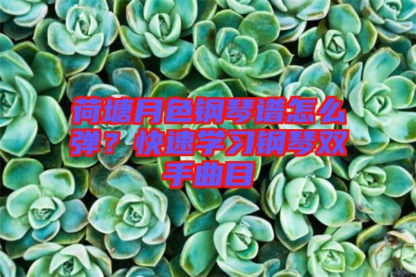 荷塘月色鋼琴譜怎么彈？快速學(xué)習(xí)鋼琴雙手曲目