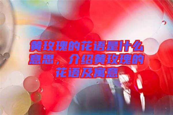 黃玫瑰的花語(yǔ)是什么意思，介紹黃玫瑰的花語(yǔ)及寓意