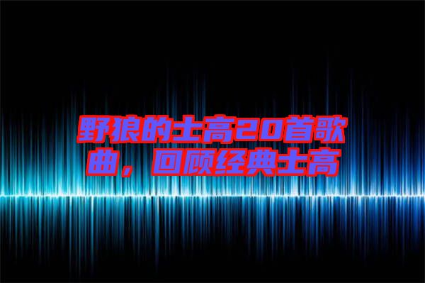 野狼的士高20首歌曲，回顧經(jīng)典士高