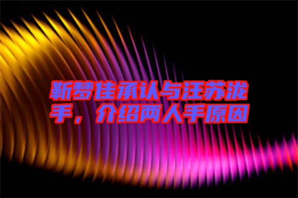 靳夢(mèng)佳承認(rèn)與汪蘇瀧手，介紹兩人手原因